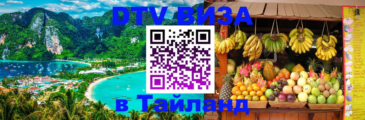 Оформление DTV визы под ключ: стоимость и тарифы, только загранпаспорт - Саратов  06.12.2025 